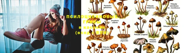 скорость Михайловск