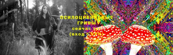 шишки Михайловка