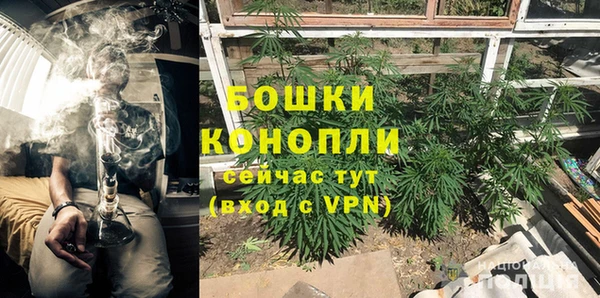 шишки Михайловка