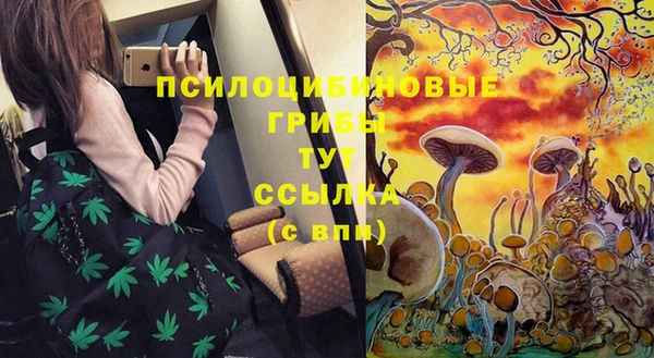 шишки Михайловка
