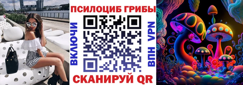 как найти наркотики  Рузаевка  Псилоцибиновые грибы ЛСД 